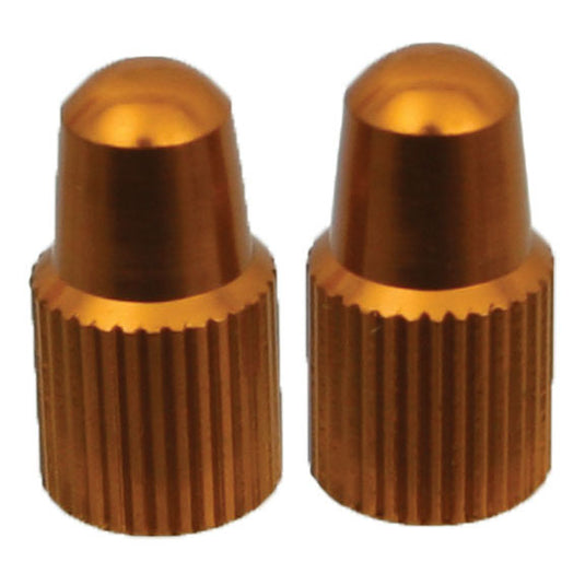 265001129.jpg