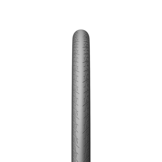 277450535.jpg