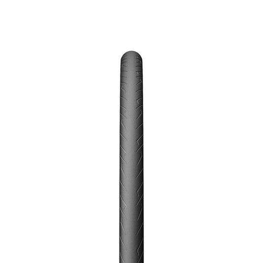 277452628.jpg